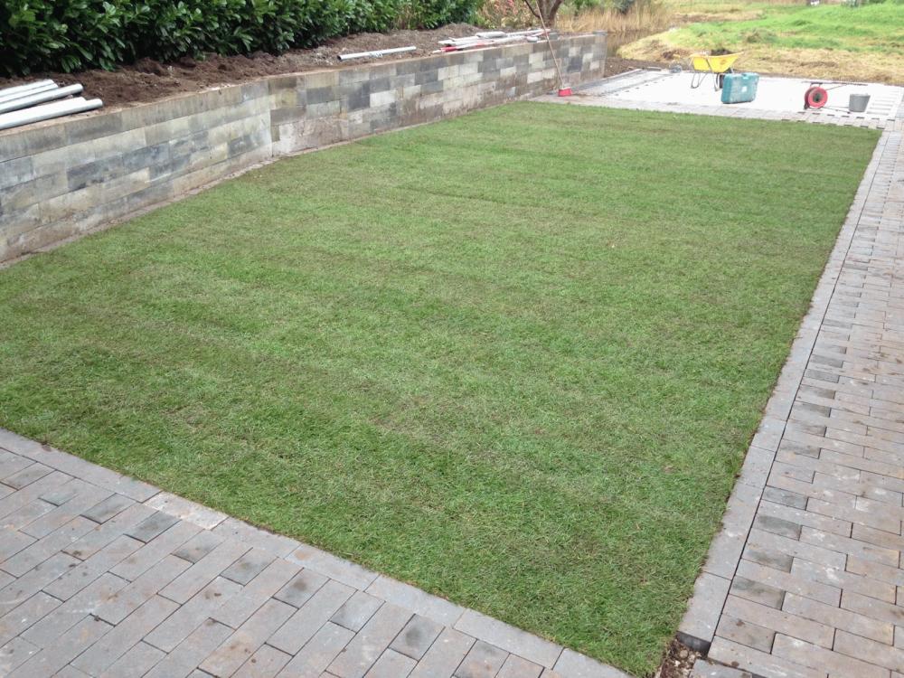 groot-IMG_20171031_WA0010